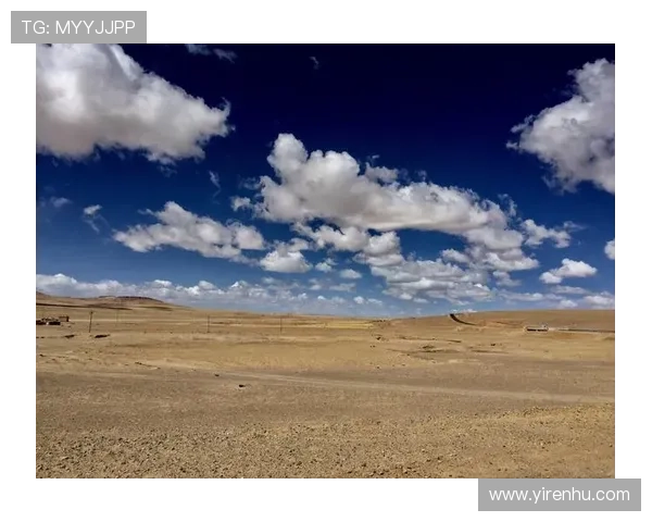 开云最新网址安全访问指南,确保用户顺利登录最新平台 开云最新网址安全访问指南,确保用户顺利登录最新平台